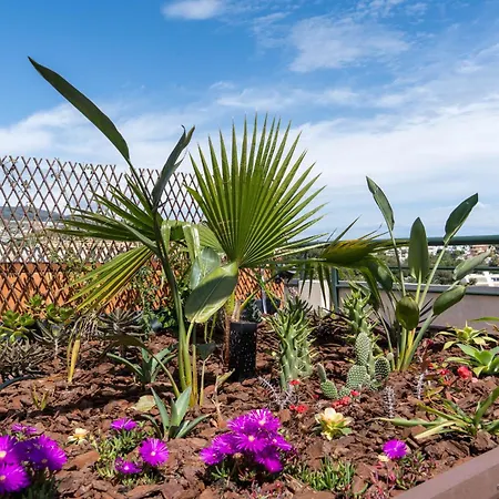 Terrace Of Paradise, 3 Bed Duplex, Bbq, Views, Pool, Parking Apartment Benalmadena